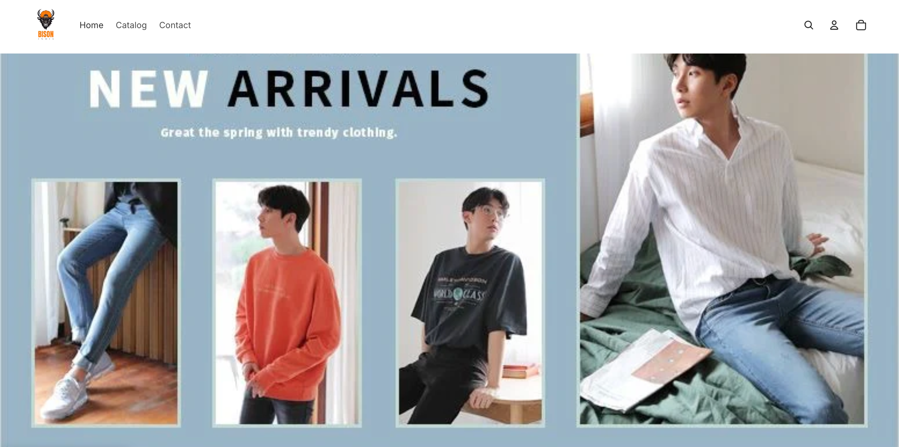 Bison India - On Going Project