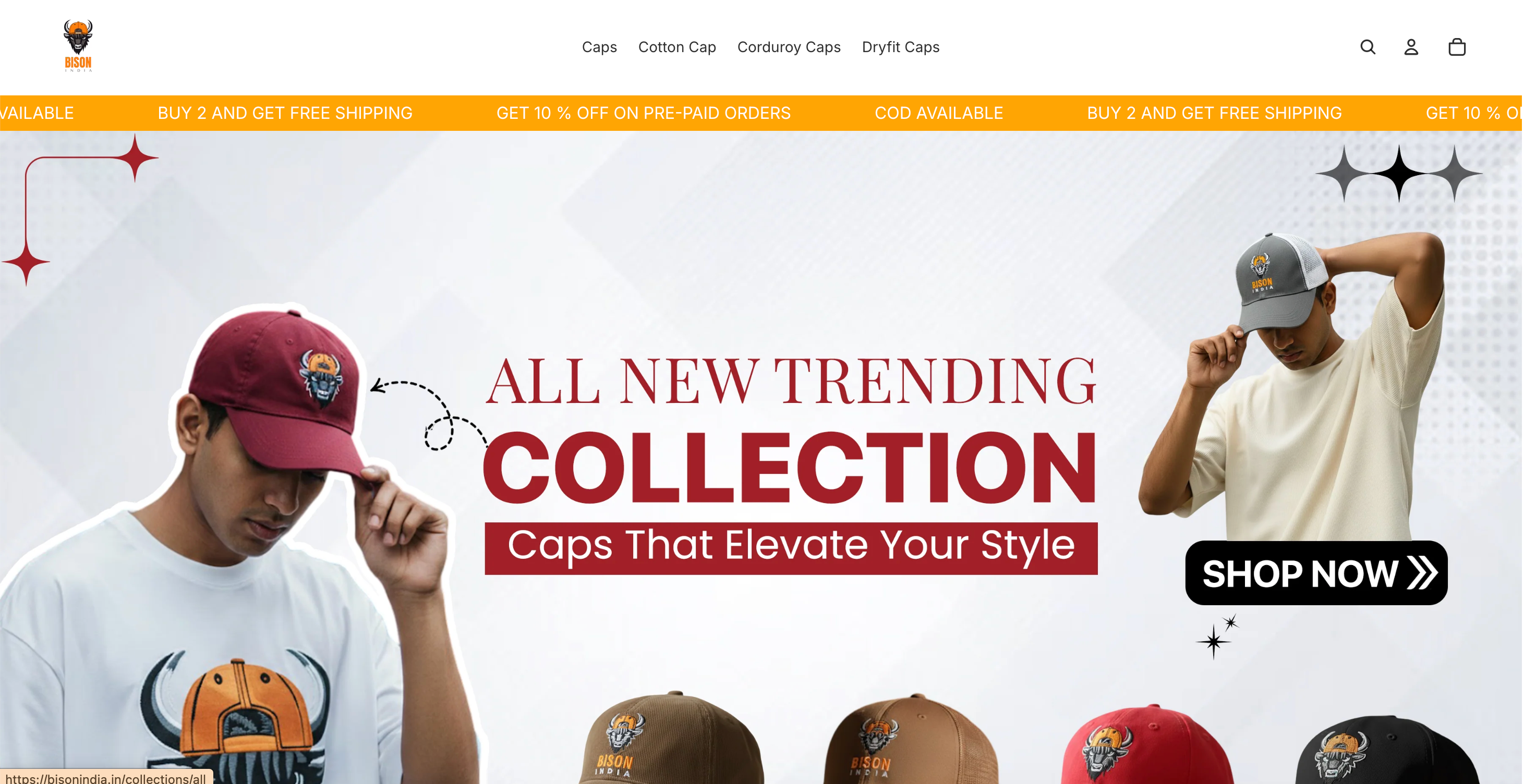 Bison India - On Going Project